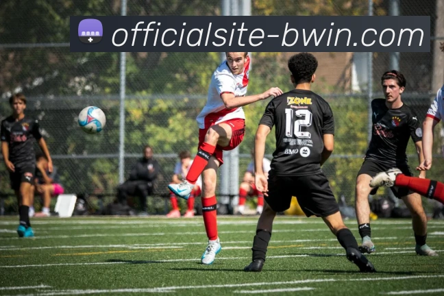 bwin必赢品牌故事