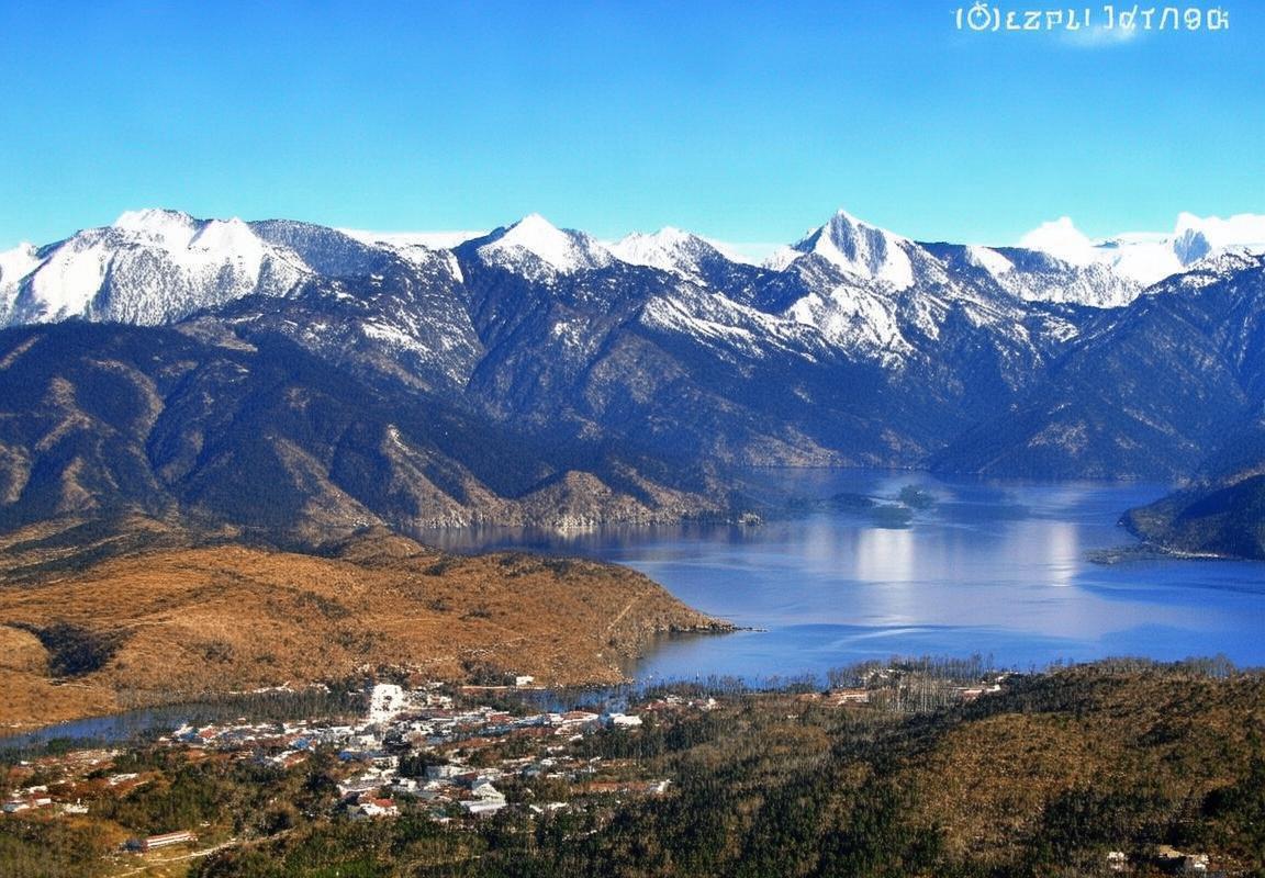 福建队VS辽宁队对决回顾：精彩瞬间与深度剖析(图2)